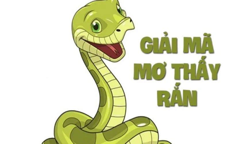 mo thay ran danh con gi bat mi nhung y nghia phia sau