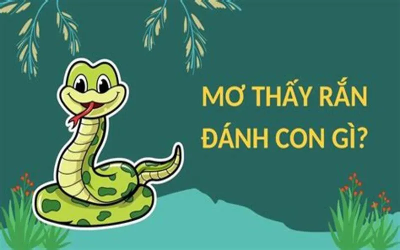 mo thay ran danh con gi bat mi nhung y nghia phia sau