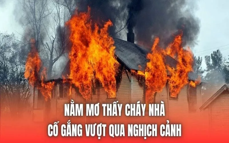 feat 1787565233